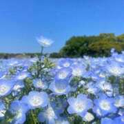 ヒメ日記 2025/12/20 17:15 投稿 ななせ ルピナス