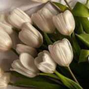 ヒメ日記 2025/12/27 17:02 投稿 ななせ ルピナス