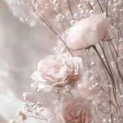 ヒメ日記 2025/12/31 17:43 投稿 ななせ ルピナス