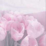 ヒメ日記 2026/01/11 15:00 投稿 ななせ ルピナス