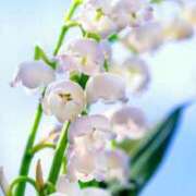 ヒメ日記 2026/01/18 18:49 投稿 ななせ ルピナス