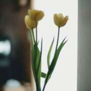 ヒメ日記 2026/02/19 20:17 投稿 ななせ ルピナス