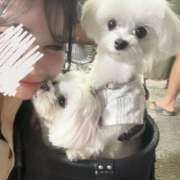 ヒメ日記 2025/07/27 22:52 投稿 なつは ぽちゃカワ女子専門店　藤沢湘南店