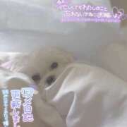 ヒメ日記 2025/09/30 15:42 投稿 なつは ぽちゃカワ女子専門店　藤沢湘南店