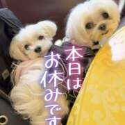 ヒメ日記 2025/10/07 21:12 投稿 なつは ぽちゃカワ女子専門店　藤沢湘南店