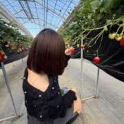 ヒメ日記 2026/04/09 07:07 投稿 サナ ドMなバニーちゃん大宮店