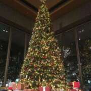 ヒメ日記 2025/12/23 14:37 投稿 にな Masquerade(マスカレード)