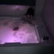 ヒメ日記 2025/11/11 22:34 投稿 しずく 感じる姿に120％勃起 L＆Jブラザーズ