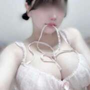 ヒメ日記 2025/09/20 11:27 投稿 うたまる にゃんだ☆full☆MIX（にゃんだふるみっくす）