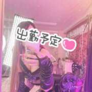 ヒメ日記 2025/08/03 16:11 投稿 白虎りっこ＠ドライでイテまえ アナラードライ