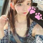 ヒメ日記 2026/03/17 16:07 投稿 みつは 恋色ぱれっと 北大阪店