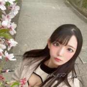 ヒメ日記 2026/04/12 17:57 投稿 みつは 恋色ぱれっと 北大阪店