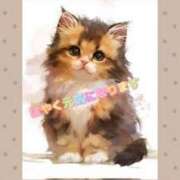 ヒメ日記 2025/08/07 21:28 投稿 みづき チューリップ土浦店