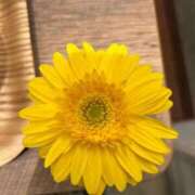 ヒメ日記 2025/10/18 20:18 投稿 みづき チューリップ土浦店