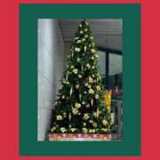 みづき 12月14日の日曜日⭐️ チューリップ土浦店