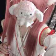 ヒメ日記 2025/12/31 17:01 投稿 まゆ ちらりずむ 札幌校