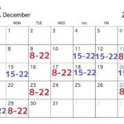 ヒメ日記 2025/11/28 20:19 投稿 みみ ANNEX（アネックス）