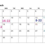 ヒメ日記 2026/03/06 19:03 投稿 みみ ANNEX（アネックス）