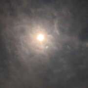 ヒメ日記 2025/08/09 22:01 投稿 チャコ Club 妻