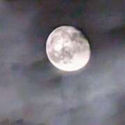 ヒメ日記 2025/10/09 20:40 投稿 チャコ Club 妻