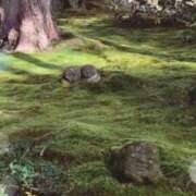 ヒメ日記 2025/10/28 19:48 投稿 【三重店】さくらこ 逢って30秒で即尺