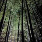 ヒメ日記 2025/11/22 11:23 投稿 【三重店】さくらこ 逢って30秒で即尺