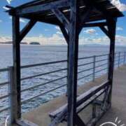 ヒメ日記 2025/11/22 11:53 投稿 【三重店】さくらこ 逢って30秒で即尺