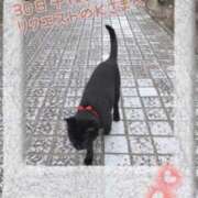 ヒメ日記 2025/12/25 20:21 投稿 【三重店】さくらこ 逢って30秒で即尺