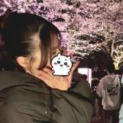 ヒメ日記 2026/04/02 12:06 投稿 まりか ハピネス東京 吉原店