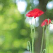 ヒメ日記 2025/10/19 09:54 投稿 みさ 池袋人妻城