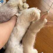 ヒメ日記 2025/10/30 09:33 投稿 みさ 池袋人妻城