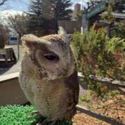 ヒメ日記 2025/11/15 17:33 投稿 みさ 池袋人妻城