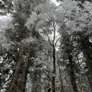 ヒメ日記 2025/12/14 13:48 投稿 みさ 池袋人妻城