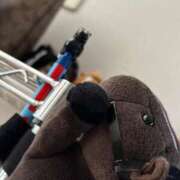 ヒメ日記 2025/12/18 10:18 投稿 みさ 池袋人妻城