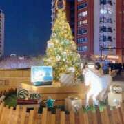 ヒメ日記 2025/12/24 15:33 投稿 みさ 池袋人妻城