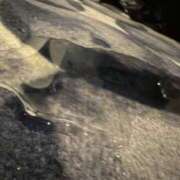 ヒメ日記 2026/03/09 07:33 投稿 みさ 池袋人妻城