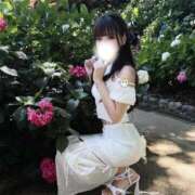 ヒメ日記 2026/06/29 11:44 投稿 りさ 沼津ハンパじゃない東京