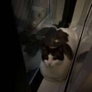 ヒメ日記 2025/07/26 03:27 投稿 みみ 女の子がセルフで撮影する店！！成田デリヘル『生パネル』伝説