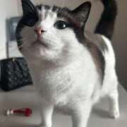 ヒメ日記 2025/07/26 03:36 投稿 みみ 女の子がセルフで撮影する店！！成田デリヘル『生パネル』伝説