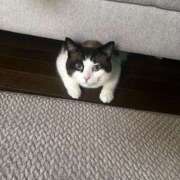 ヒメ日記 2025/07/26 17:03 投稿 みみ 女の子がセルフで撮影する店！！成田デリヘル『生パネル』伝説