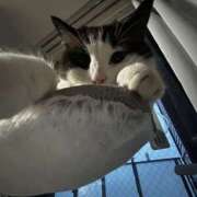 ヒメ日記 2025/07/27 00:54 投稿 みみ 女の子がセルフで撮影する店！！成田デリヘル『生パネル』伝説