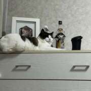 ヒメ日記 2025/07/27 23:48 投稿 みみ 女の子がセルフで撮影する店！！成田デリヘル『生パネル』伝説