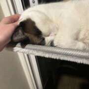 ヒメ日記 2025/07/27 23:51 投稿 みみ 女の子がセルフで撮影する店！！成田デリヘル『生パネル』伝説