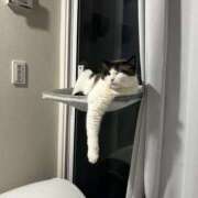 ヒメ日記 2025/07/28 05:12 投稿 みみ 女の子がセルフで撮影する店！！成田デリヘル『生パネル』伝説