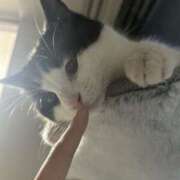 ヒメ日記 2025/07/28 16:24 投稿 みみ 女の子がセルフで撮影する店！！成田デリヘル『生パネル』伝説