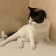 みみ お礼💌 女の子がセルフで撮影する店！！成田デリヘル『生パネル』伝説