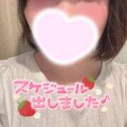 ヒメ日記 2025/07/29 00:05 投稿 もも 萌えコス