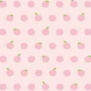 ヒメ日記 2026/02/21 12:03 投稿 もも 萌えコス