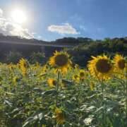 ヒメ日記 2025/07/28 18:50 投稿 みどり イキなり生彼女from大宮