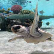 ヒメ日記 2026/01/25 22:28 投稿 のの クラブリリー